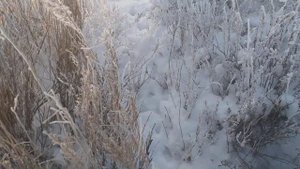 ПРОВЕРКА ПЕТЕЛЬ НА ЗАЙЦА