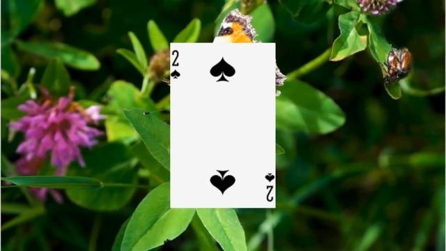 2 Пик