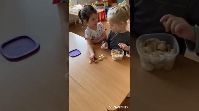 Предметно развивающая среда по познавательно исследовательской деятельности. Киселёва А С смотреть онлайн