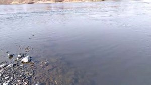 река чулым в большом улуе