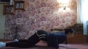 Комплекс упражнений: планки, шпагаты, поза лотоса (падмасана), растяжка спины. #растяжка