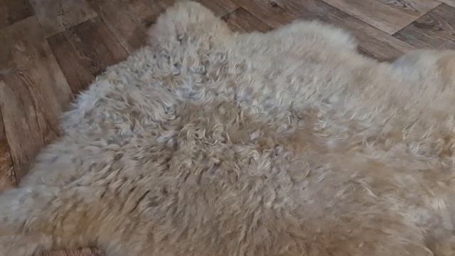 ШКУРА ОВЕЧЬЯ БЕЖЕВО-РЫЖАЯ КУЧЕРЯВАЯ (КОД: 4895)