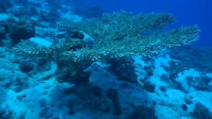 Голубая дыра Дахаб Египет ⁄ Blue Hole Dahab Egypt