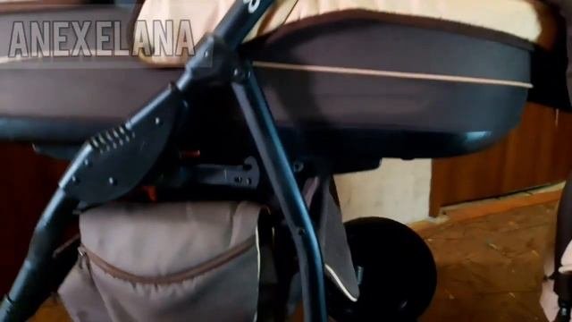 Anex Elana