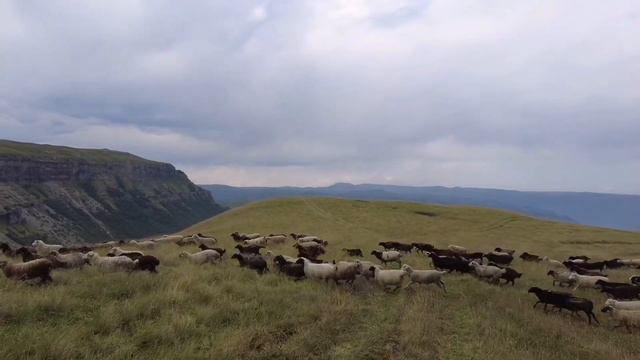 Джиптур на озера Шадхурей и плато Канжол смотреть онлайн