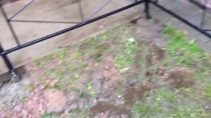 Установка газонного ограждения