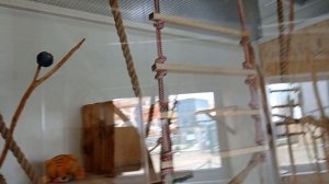 Зоопарк Y.E.S. Стризнево.