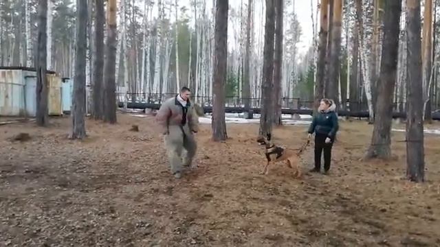 Наша выпускница 2017г.р. Нижний Тагил❤️ малинуа смотреть онлайн