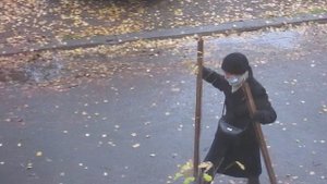 СКАНДИНАВСКАЯ ХОДЬБА ПО-РУССКИ..mp4