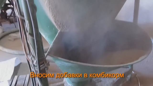 Комбикормовый мини-завод. Как сэкономить на производстве комбикорма?