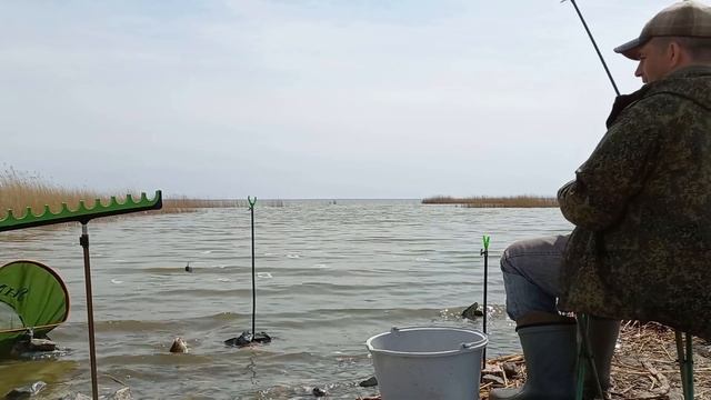 Озеро маян рыбалка. Уелги озеро в Челябинской области. Озеро Уелги 2022 рыбалка. Рыбалка на озере Уелги. Карась Озерный.