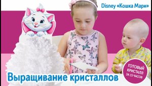 Ариша вместе с Никой выращивают кристаллы Disney "Кошка Мари"