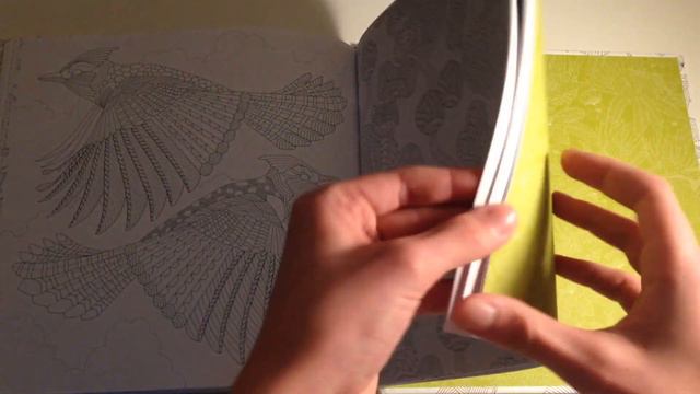 Обзор новой раскраски Милли Маротты "Дивные птицы" смотреть онлайн