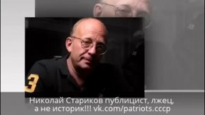Архивные историки против Николая Старикова публициста