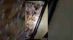 Радиоприёмник VEF 12(ВЭФ 12)