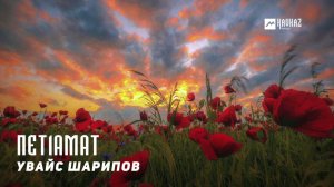 Увайс Шарипов - Пет1амат | KAVKAZ MUSIC CHECHNYA