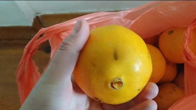 Местные апельсины и мандарины купила два пакета для детей. Многодетная семьям в Черногории