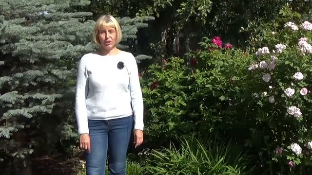 Прогулка по саду. Любимые многолетники и сочетания.