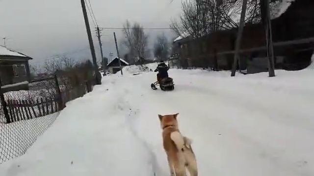 Самодельный снегоход смотреть онлайн