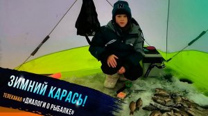 "Зимний карась - участник проекта Клевое детство телеканала "Диалоги о рыбалке" #ЕгорГришин