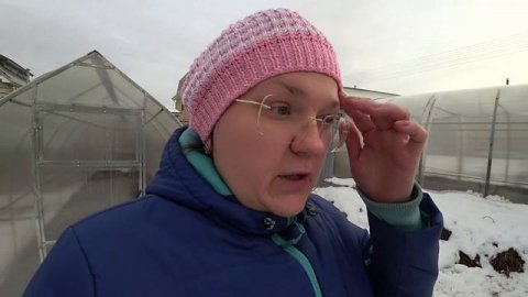 Как защитить молодые деревья от грызунов?