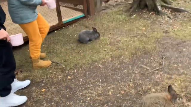 Зюраткуль и безлюдное озеро Тургояк 17 октября 2023 г. смотреть онлайн