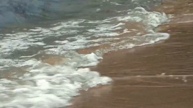 ЕСТЕСТВОЗНАНИЕ 5 КЛАСС История освоения и изучения материков и частей света смотреть онлайн