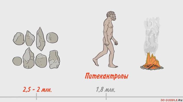 Происхождение человека  Антропогенез