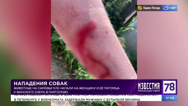Программа 