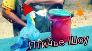 M13_Куала Лумпур. Парк птиц. Птичье шоу