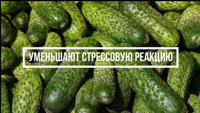 Огурцы. Узнайте чем полезны огурцы?
