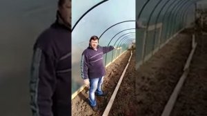 Грядки для малины