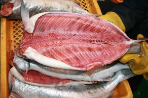 Работа линий NOVA на судне (пр-во Ю.Корея), (ООО "Владфризинг")