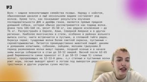 ЗАДАНИЕ 3 | КАК РЕШАТЬ?! | Русский с Верой ЕГЭ FLEX