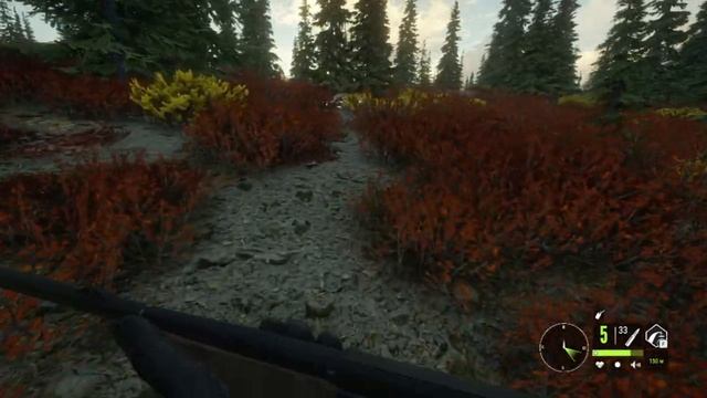 theHunter:Call of the Wild/Охота на Карибу смотреть онлайн