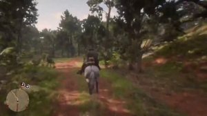 Гонки / Red dead redemption 2 / РДР 2 / Проверка мустанга на скорость