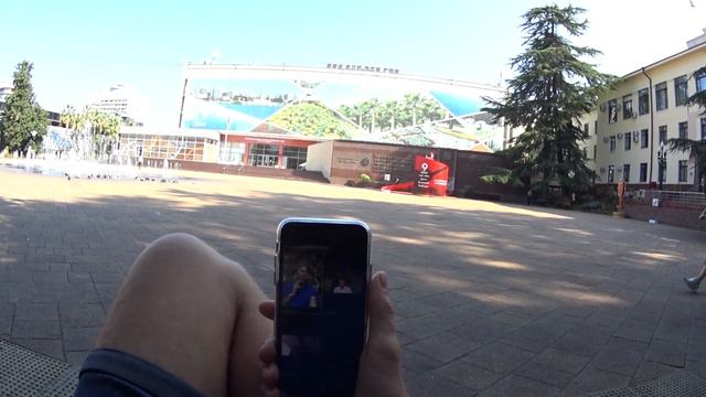 Моя удаленная работа из Сочи. Планерка под пальмой. Собираю детскую горку для сына. смотреть онлайн