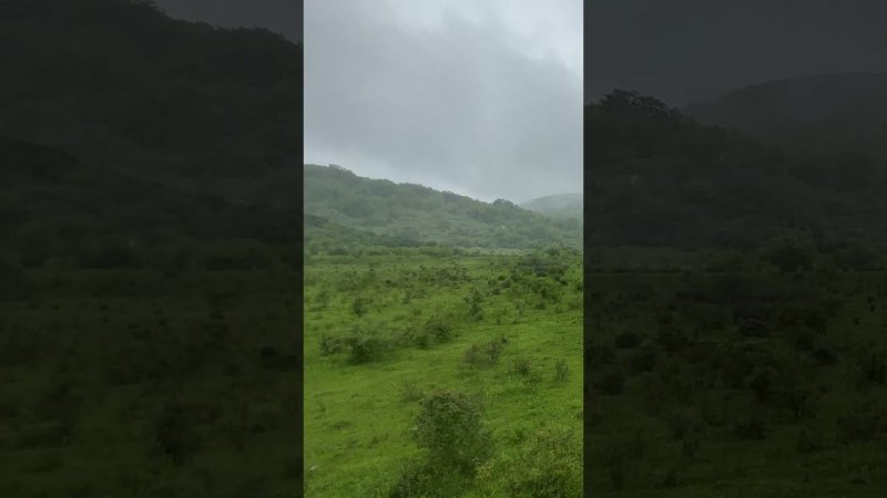 Spring rain in the mountains