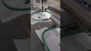 Вышивальная 2-х головочная 12-ти игольная машина Profi 1202