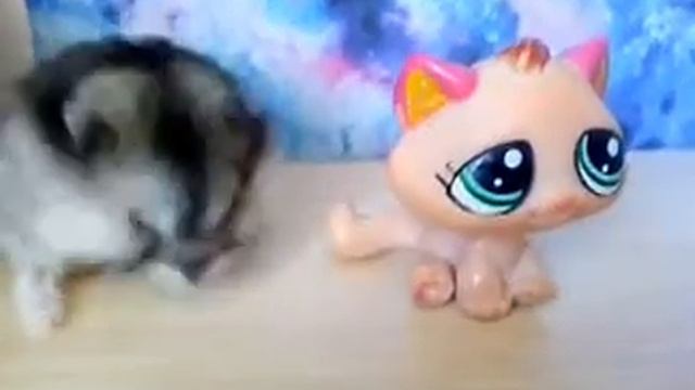 КТО У МЕНЯ НОВЫЙ ЖИВЕТ? Ч.О. смотреть онлайн