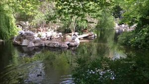 Zoologischer Garten Berlin (Zoo Berlin)