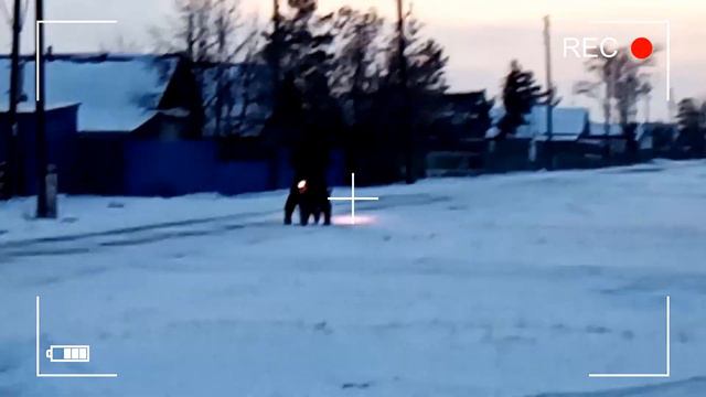 КАК ? А ГЛАВНОЕ ЗАЧЕМ ? (ЗИМНИЙ ВЫЕЗД) смотреть онлайн