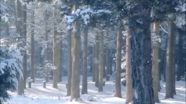 ОТ ЛЮБВИ ДО РАЗВОДА - ОДИН ШАГ. Душевные истории. Семейные истории. Истории из жизни. Реальная жизн смотреть онлайн