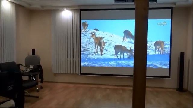 #проектор #экран #кино Проектор вместо телевизора 25