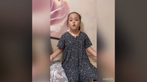 Домашние питомцы