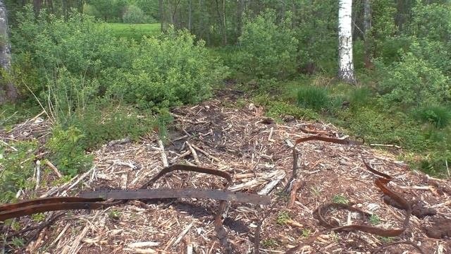 Нашли схрон в лесу около заброшенной деревни.