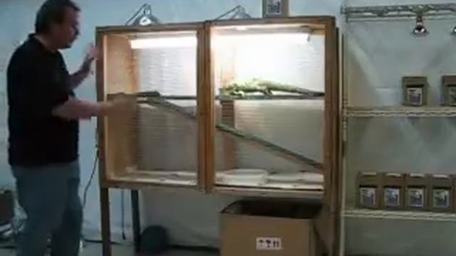 Which Bulbs Should I Use 300 ruv смотреть онлайн