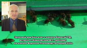 Профессор Кашковский про использование КАС 81 в сиропе