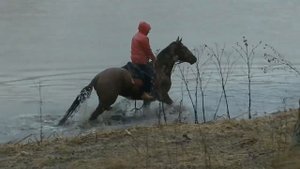 БОЕВОЙ КОНЬ!