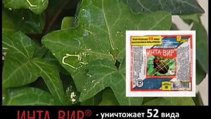 ИНТА-ВИР - средство защиты от вредителей и насекомых